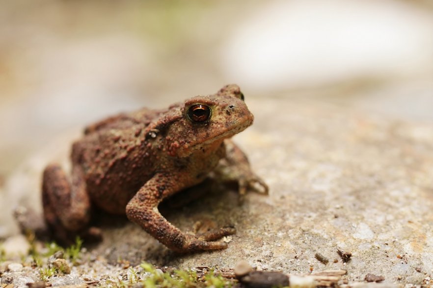 Sehen und gesehen werden...